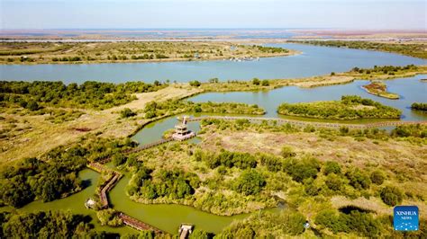 The Yellow River Delta Wetland Nature Reserve: A Serene Escape for Birdwatchers and Nature Enthusiasts!